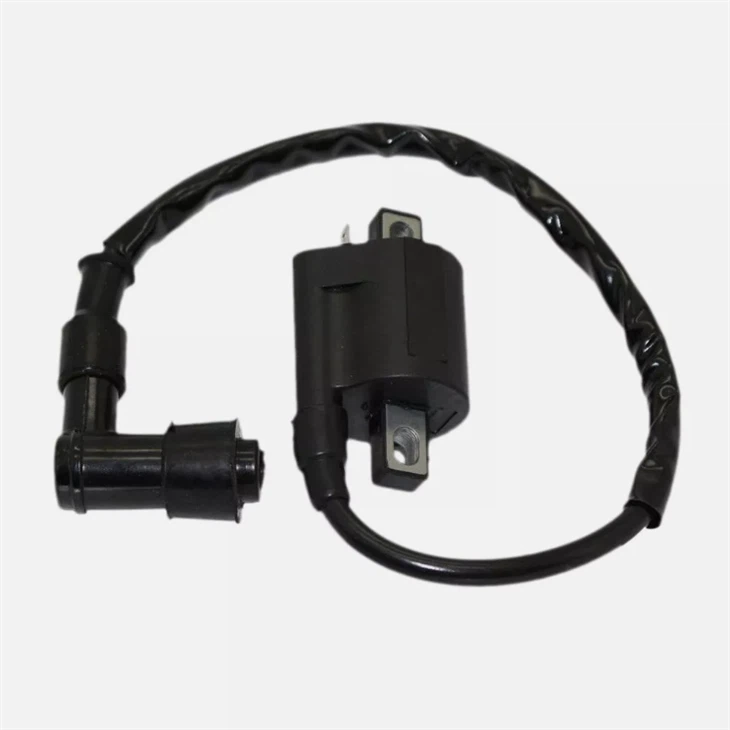 CG150 Ignition Coil