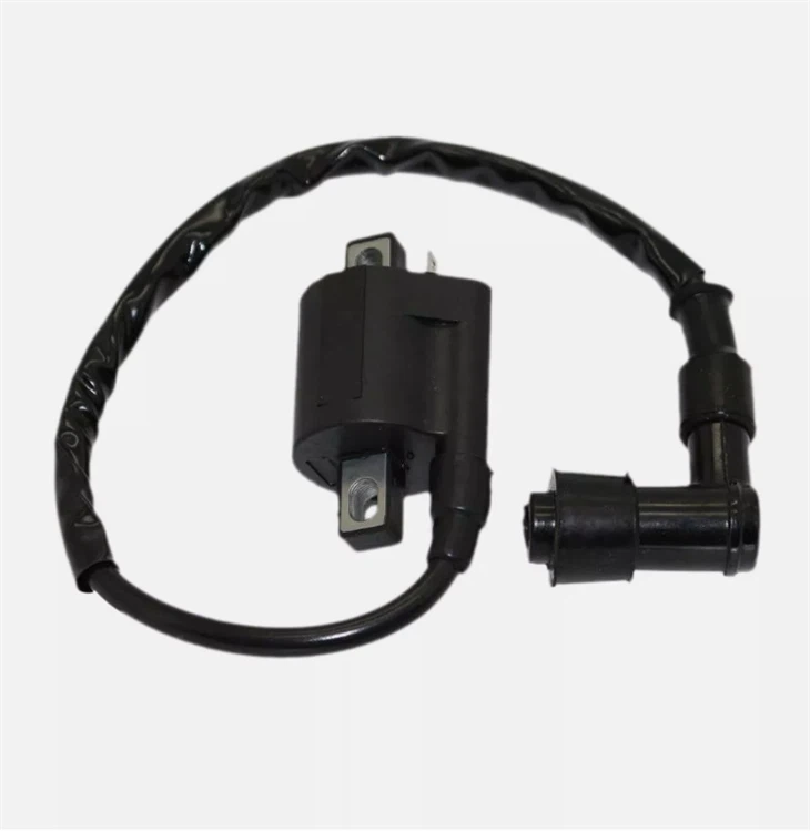 CG150 Ignition Coil